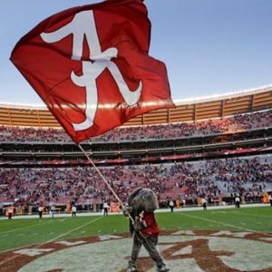 Meet your Posher, Mitchell